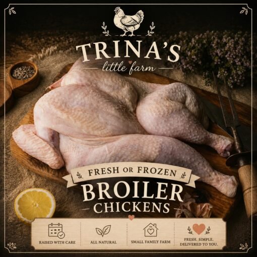 Broiler Chicken Fresh or Frozen
