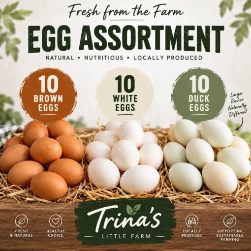 Chicken and Duck Eggs Selection Box